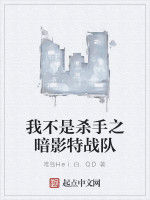 我不是殺手之暗影特戰隊 我不是殺手之暗影特戰隊