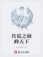 傳說之顛峰天下