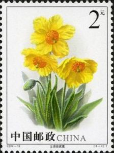 2004-18 綠絨蒿(T)