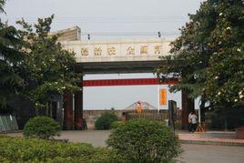 文昌中學[湖南省桃源縣文昌中學]