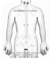 胃俞穴 胃俞穴