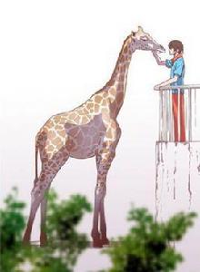 動物園物語 動物園物語