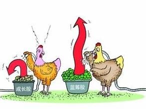 成長與收益型基金