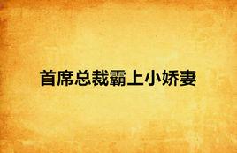 首席總裁霸上小嬌妻 首席總裁霸上小嬌妻