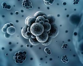 空氣微生物 空氣微生物