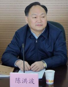 陳洪波[中共湖北省紀律檢查委員會委員副書記]