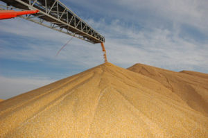 中央儲備糧通遼直屬庫