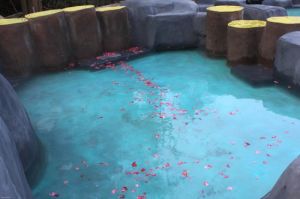 秋浦漁村溫泉度假村 秋浦漁村溫泉度假村