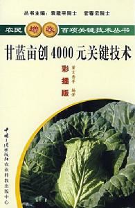 甘藍畝創4000元關鍵技術
