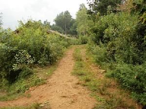 水井四自然村 水井四自然村