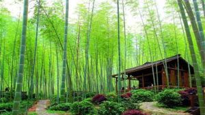 灕江源峽谷 灕江源峽谷