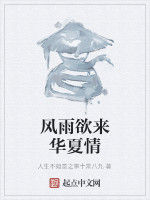 風雨欲來華夏情 風雨欲來華夏情