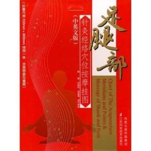 灸經絡穴位按摩掛圖 灸經絡穴位按摩掛圖