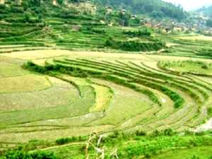 木柏上寨村 木柏上寨村