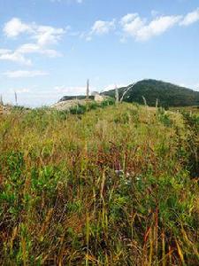 大營盤長城 大營盤長城