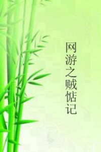 網遊之賊惦記 網遊之賊惦記