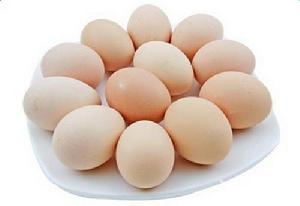 雞蛋