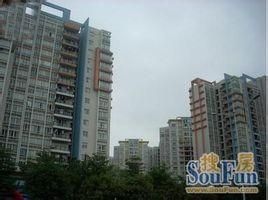 中信新天地 中信新天地