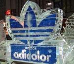 adicolor