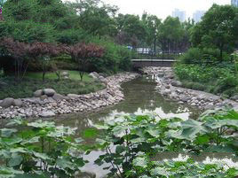 上海延中公園 上海延中公園