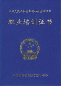 經絡養生師 經絡養生師