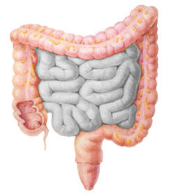 消化道重複畸形