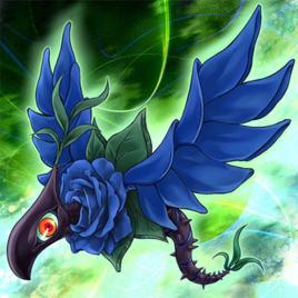 青薔薇龍 青薔薇龍