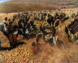 《隨愛沉淪》 《隨愛沉淪》