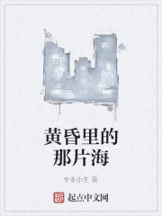 黃昏里的那片海 黃昏里的那片海