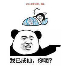 修仙[網路流行語]