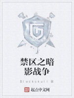 禁區之暗影戰爭 禁區之暗影戰爭