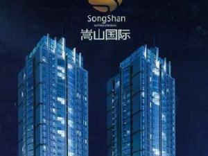 哈爾濱嵩山國際 哈爾濱嵩山國際