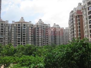 實景圖(網易房產)