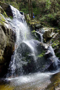 蒼龍峽[山東省萊蕪市蒼龍峽]