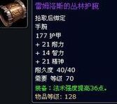 雷姆洛斯的叢林護腕 雷姆洛斯的叢林護腕