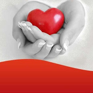 中紅博愛 中紅博愛