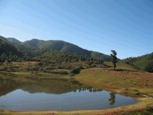 大葉坪自然村 大葉坪自然村