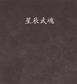 星辰武魂 星辰武魂