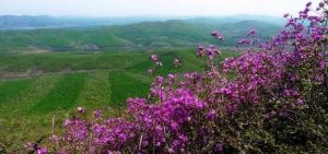 大青山景區[黑龍江] 