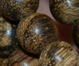 越南藤黃 越南藤黃