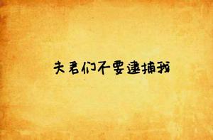 夫君們不要逮捕我 夫君們不要逮捕我
