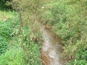 鄧家屯村 鄧家屯村
