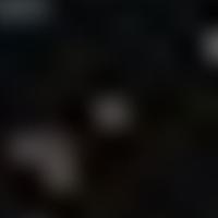 HR 1165 RASS 彩色圖