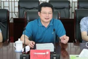 熊偉[中共原湖北省宜昌市委常委、統戰部部長]