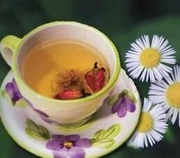 紫菀花茶 紫菀花茶