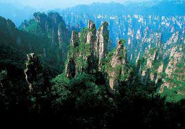 天子山[天子山景區]