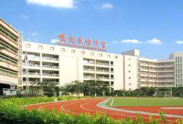 深圳市崛起實驗中學 深圳市崛起實驗中學
