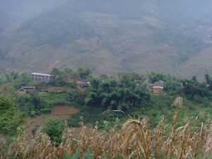 阿洛自然村 阿洛自然村