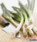 蔥白膏 蔥白膏