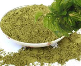 凍乾桑葉 凍乾桑葉